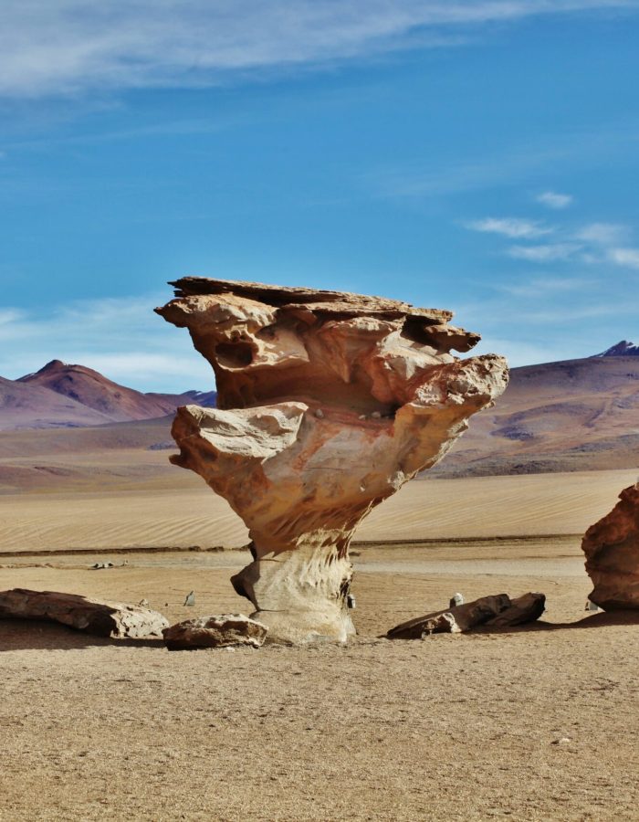 Andrea camacho El Sur es El Norte Árbol de piedra desierto de Siloli Bolivia